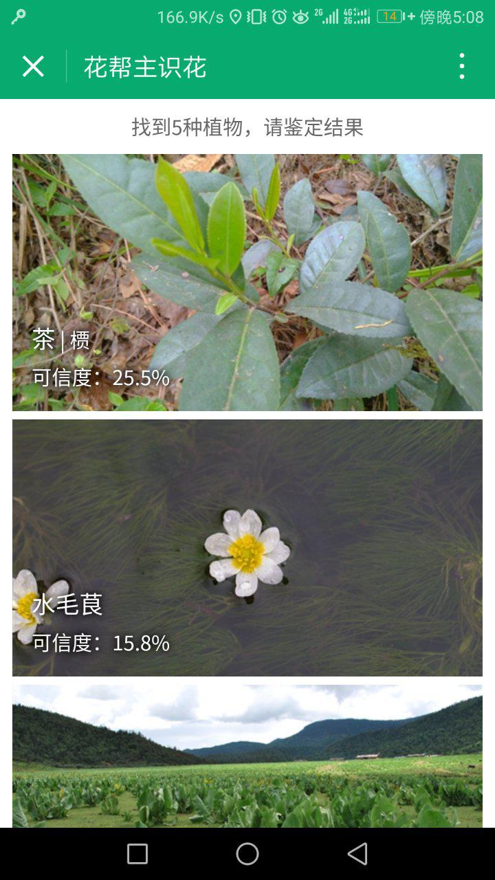 花帮主识花截图