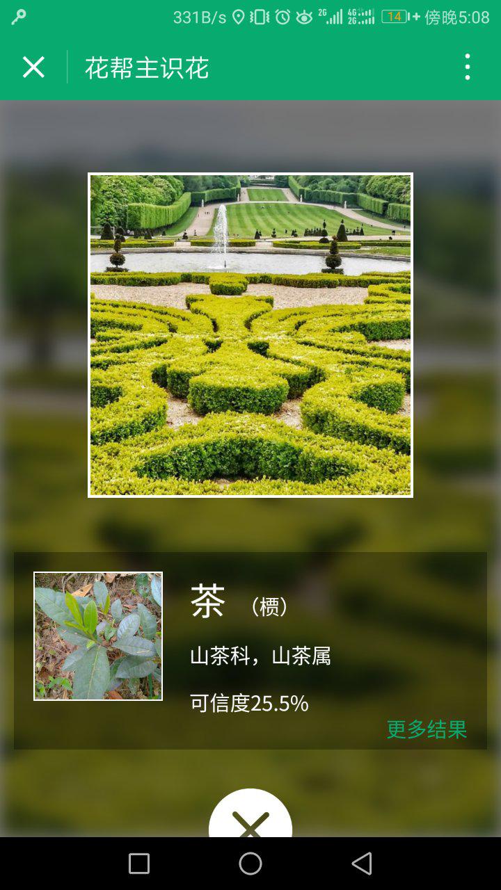 花帮主识花截图