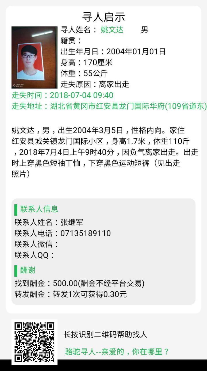 骆驼寻人截图