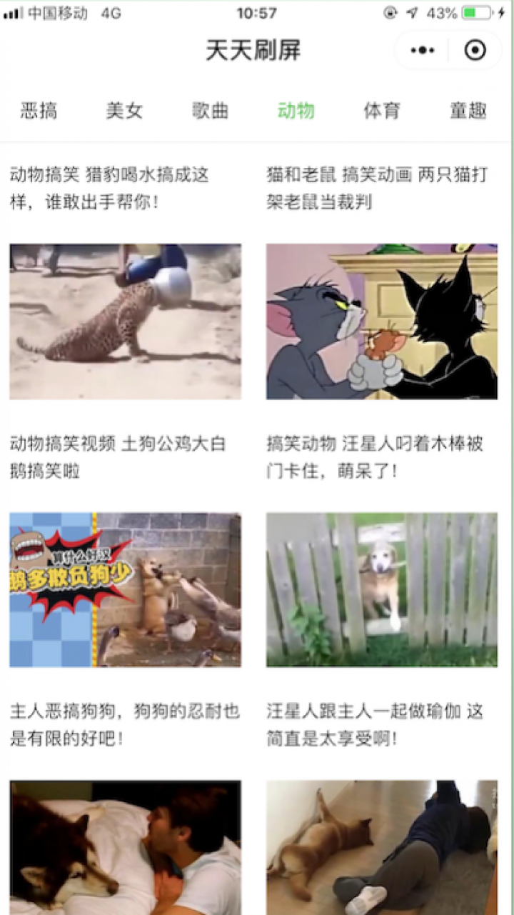 天天刷屏截图