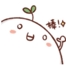 朝云测评